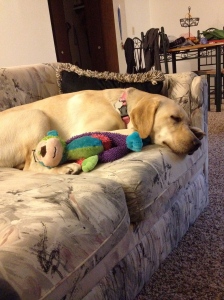 She loves to cuddle with her monkey